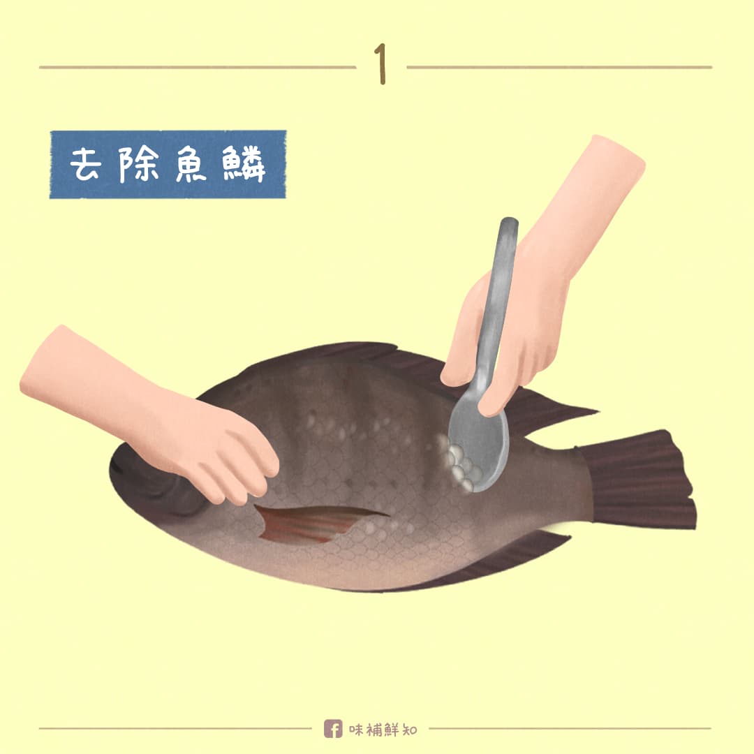 【去除魚鱗】將湯匙或刮鱗器傾斜45度角，從魚尾至魚頭，也就是逆著鱗的方向刮去魚鱗。
